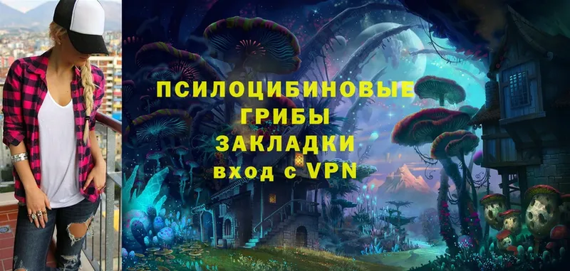 Галлюциногенные грибы Magic Shrooms  где купить   Гороховец 